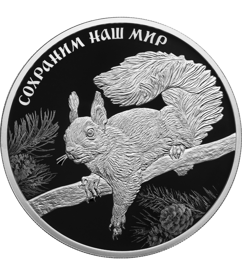 Монета Белка обыкновенная.png